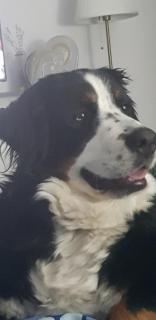 Maria*s Apartment! - 5