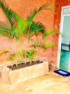 Rithu Homestay - 3