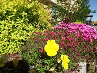 The Wilds at Salmonier River - 3