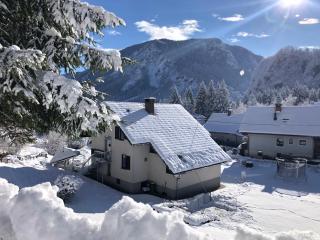 SavaDolinka House - Mojstrana - 9