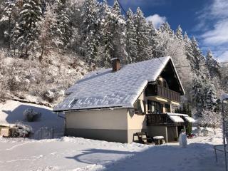 SavaDolinka House - Mojstrana - 5