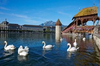 Hotel Lestelle - self check-in - Lucerna - 3