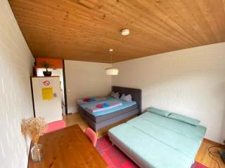 Exklusive Ferienwohnung MIRO 25 m² in ruhiger Lage - Heidelberg - 4