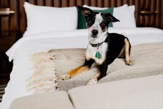 Surety Hotel - Des Moines - 9