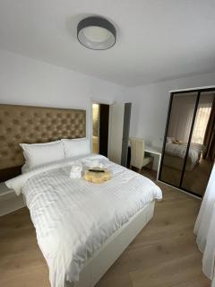 Adina Apartament - 1