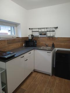 Apartmán Krkonoše - Prostřední Lánov - 1