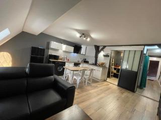 Appartements chez Delphine et Guillaume au coeur de Semur en Auxois - 6