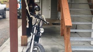 Biker's Bungalow - Near Mendenhall Glacier and Auke Bay Offering DISCOUNT ON TOURS! - Mendenhaven - 5