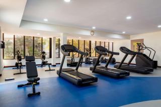 The Diplomat Radisson Blu Hotel Residence & Spa - Manama - 6
