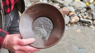 Raw Gold - Affordable, Near Mendenhall Glacier, Trails, and Conveniences - DISCOUNTS ON TOURS! - Mendenhaven - 5