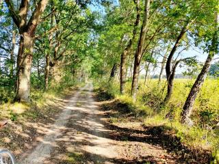 Ferienwohnung KWi 12 OG-"Sonnenschein" - Graal-Müritz - 2