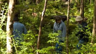 Trailhead Room - Near Mendenhall Glacier, Trails, and Conveniences - DISCOUNTS ON TOURS! - 2