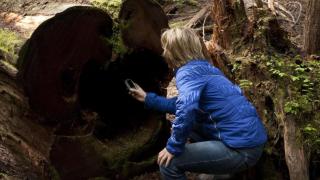 Trailhead Room - Near Mendenhall Glacier, Trails, and Conveniences - DISCOUNTS ON TOURS! - 1