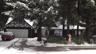 Twin Peaks - Great Location! Walk to Mendenhall Glacier - DISCOUNTS ON TOURS! - 2