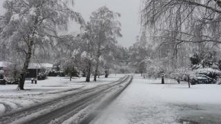 Harrogate Gardens Motel - Hanmer Springs - 5