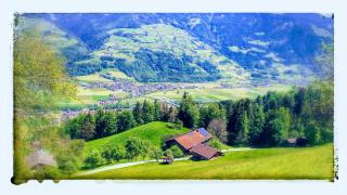 Wieshof - Kaltenbach - 7