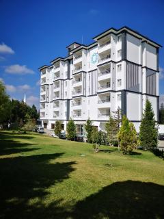 Basaranlar Thermal Otel - Gazligol - 0
