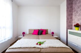 Grand Budapest Apartments - Budapest - 9