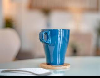 Spot Apartment - Palma de Majorque - 3