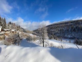Landhotel Baumwipfel - Willingen - 4