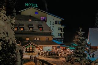 Hotel Pahuljica - Vlasic - 8