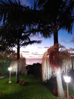 Casa dos Avos - Calheta - 3