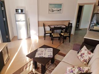 EFO Apartment - Bansko - 6