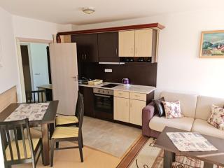 EFO Apartment - Bansko - 8