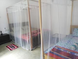 Jungle Villa - 2