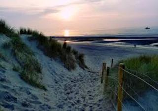 Residentie Fleur - 8