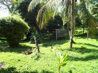 Bambuda Lodge - Bocas del Toro - 6