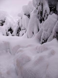 Appartment Sandra Obkircher - 9