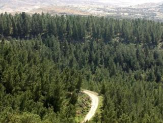 Yagorov Chalet - Yavneʼel - 2