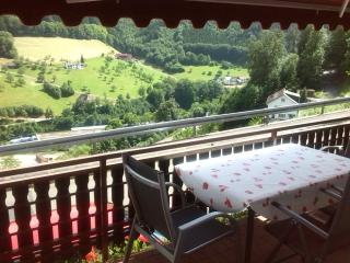 Ferienwohnung Christa - Bad Peterstal-Griesbach - 7