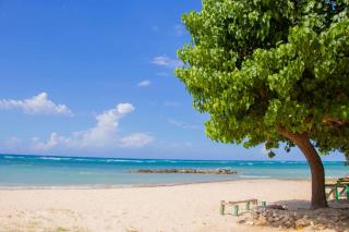 Beach Dreams at Seacastles - 8