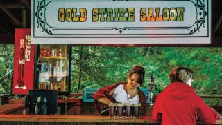 Grandma's House - Large Home - DISCOUNT ON TOURS! - 9