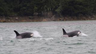 Grandma's House - Large Home - DISCOUNT ON TOURS! - 6