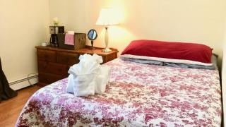 Grandma's House - Large Home - DISCOUNT ON TOURS! - 2