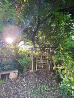 Under The Oak - 3