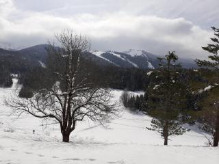 Studio sur les pistes - 6