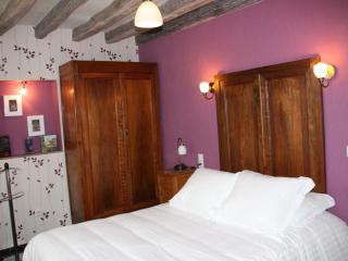 Grand gîte rénové avec jardin, terrasse et sauna - FR-1-581-35 - - 6