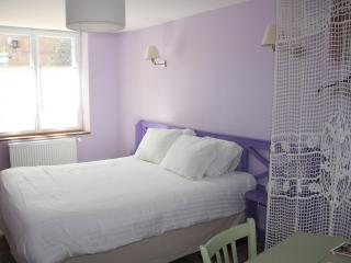 Grand gîte rénové avec jardin, terrasse et sauna - FR-1-581-35 - - 4