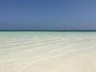 Eleven Pearl Boutique Hotel & Spa - 4