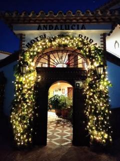 Hotel Rural Andalucia - Sierra de Yeguas - 9