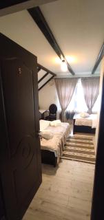 Pensiunea Casa Andreea - Bârsana Maramureș - Bîrsana - 3