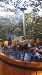 Nido del Quetrupillan Domo Geodésico - 4