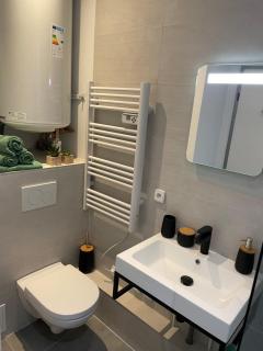 Chaleureux F2 dans l’hypercentre colmarien - 1