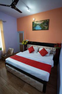 Riva palace Homestay Rewalsar Lake - 1