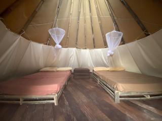 Bees Mouth Gambia - 6