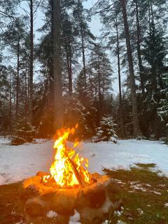 Rojaus Slenis - Druskininkai - 4